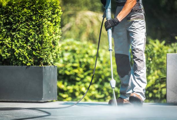 Best Sidewalk and Walkway Cleaning  in Ravenna, NE